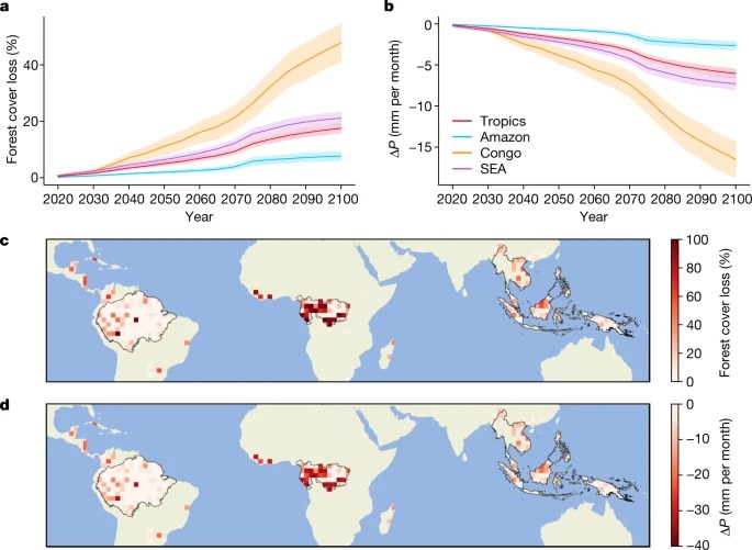 Tropical deforestation causes large reductions in observed precipitation