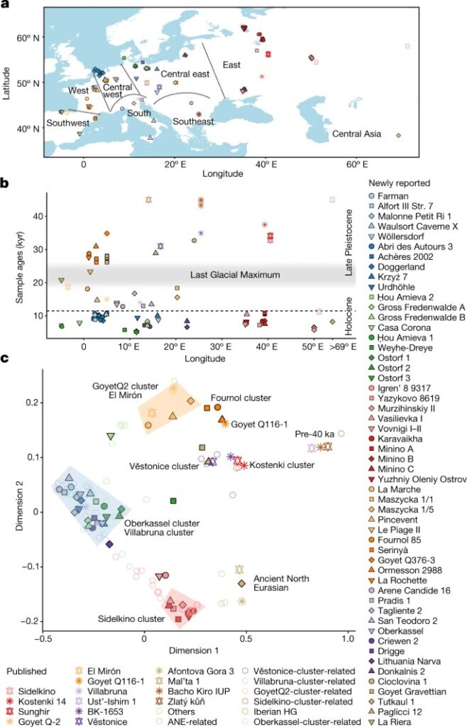 Palaeogenomics of Upper Palaeolithic to Neolithic European hunter-gatherers