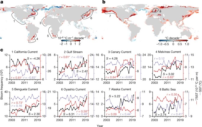 Coastal phytoplankton blooms expand and intensify in the 21st century