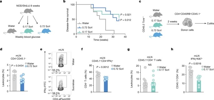 The dietary sweetener sucralose is a negative modulator of T cell-mediated responses