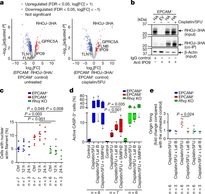 RHOJ controls EMT-associated resistance to chemotherapy