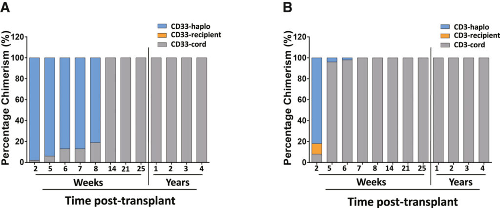 HIV-1 remission and possible cure in a woman after haplo-cord blood transplant