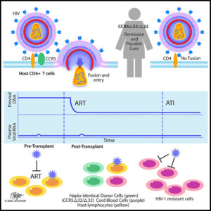 Read more about the article HIV-1 remission and possible cure in a woman after haplo-cord blood transplant