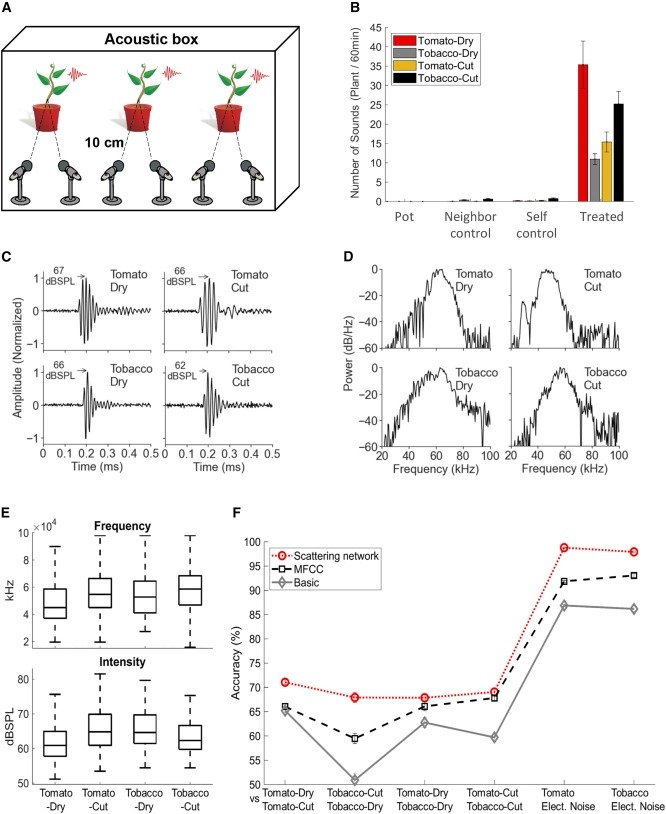 Sounds emitted by plants under stress are airborne and informative