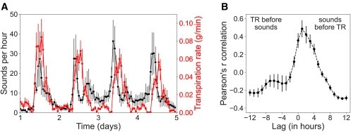 Sounds emitted by plants under stress are airborne and informative