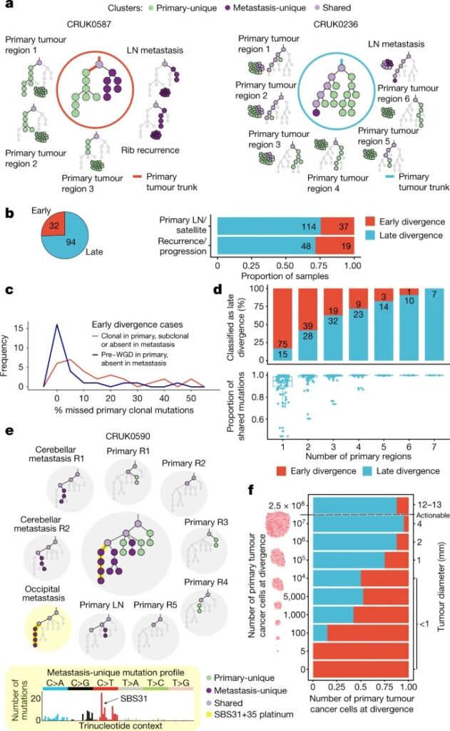 The evolution of non-small cell lung cancer metastases in TRACERx