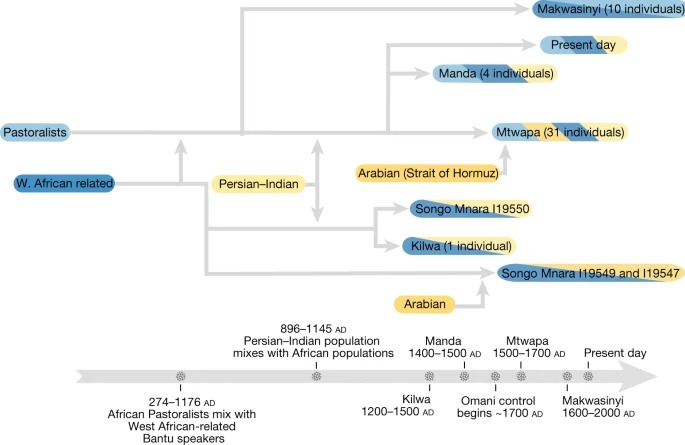 Entwined African and Asian genetic roots of medieval peoples of the Swahili coast