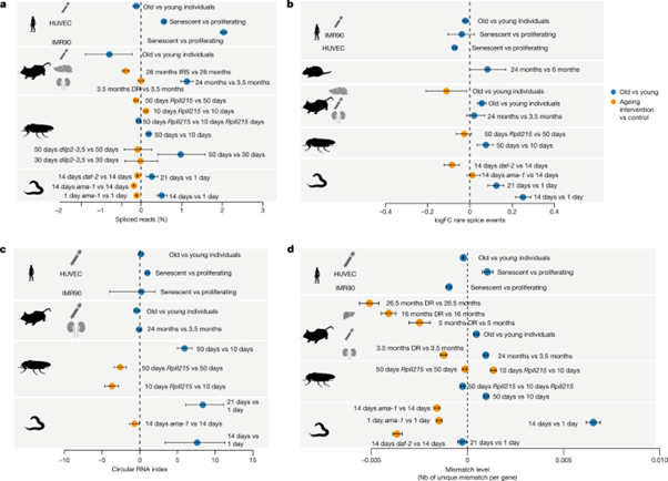 [Fig3] Ageing-associated changes in transcriptional elongation influence longevity