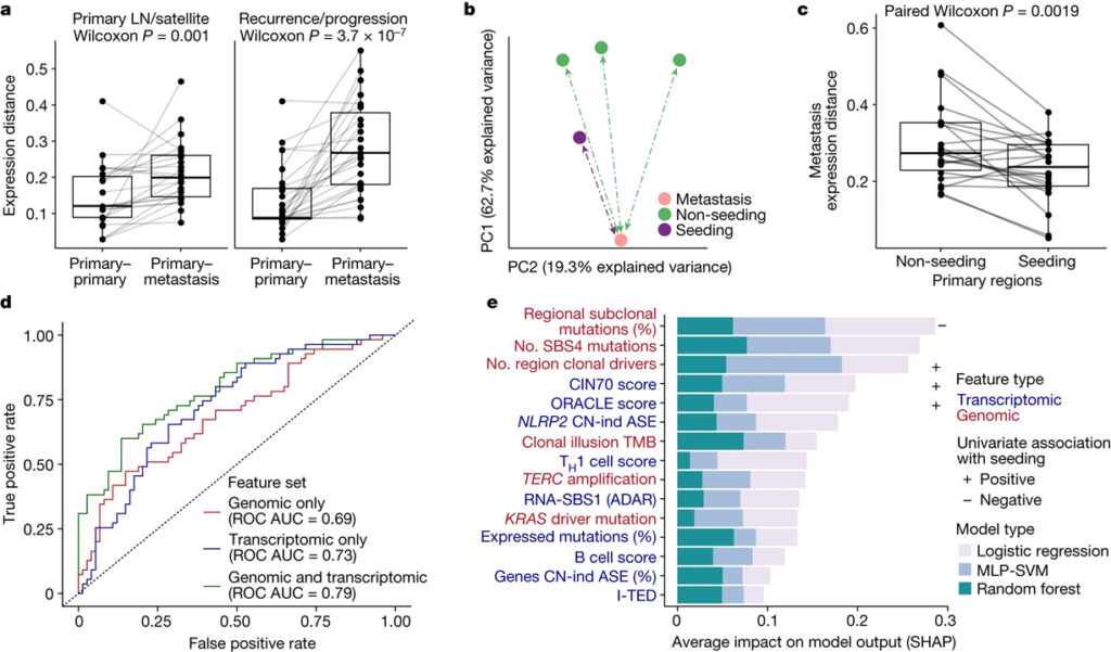 Genomic–transcriptomic evolution in lung cancer and metastasis