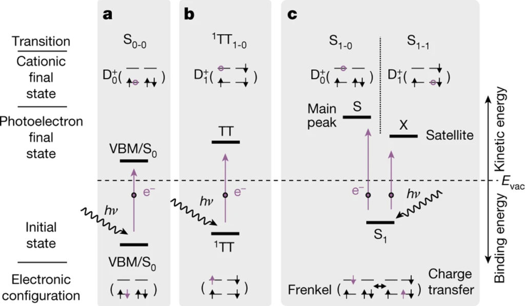 Orbital-resolved observation of singlet fission