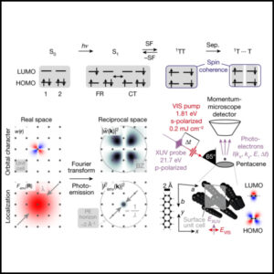 Read more about the article Orbital-resolved observation of singlet fission