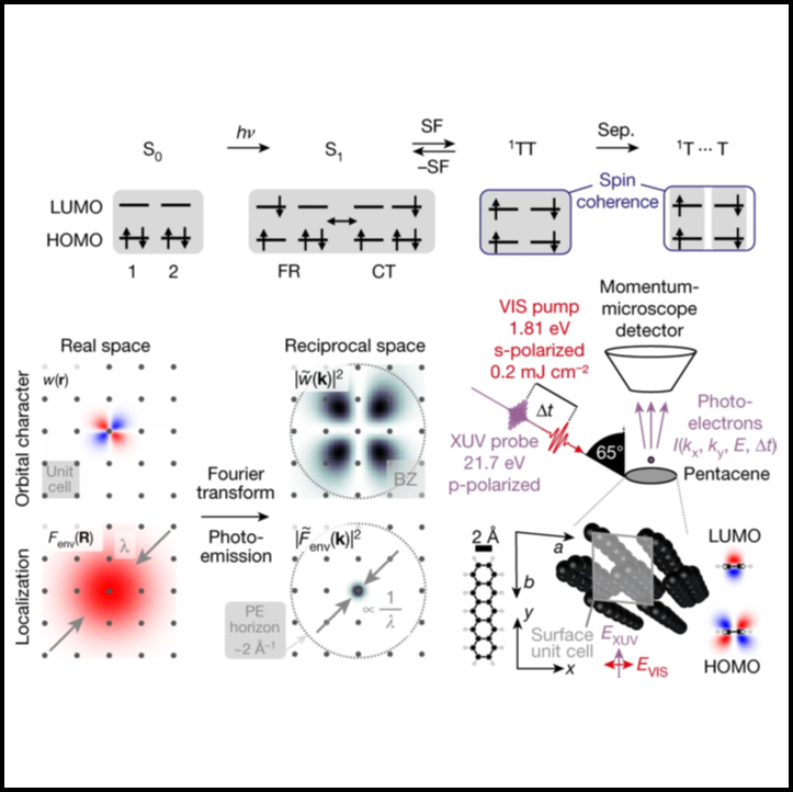 Orbital-resolved observation of singlet fission