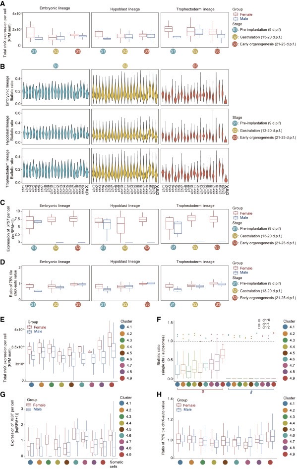 Ex utero monkey embryogenesis from blastocyst to early organogenesis