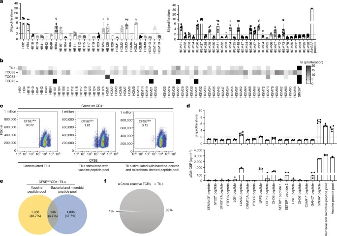 Microbial peptides activate tumour-infiltrating lymphocytes in glioblastoma