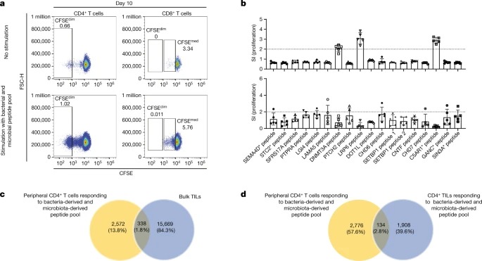 Microbial peptides activate tumour-infiltrating lymphocytes in glioblastoma