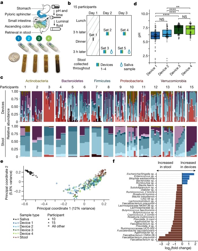 Profiling the human intestinal environment under physiological conditions