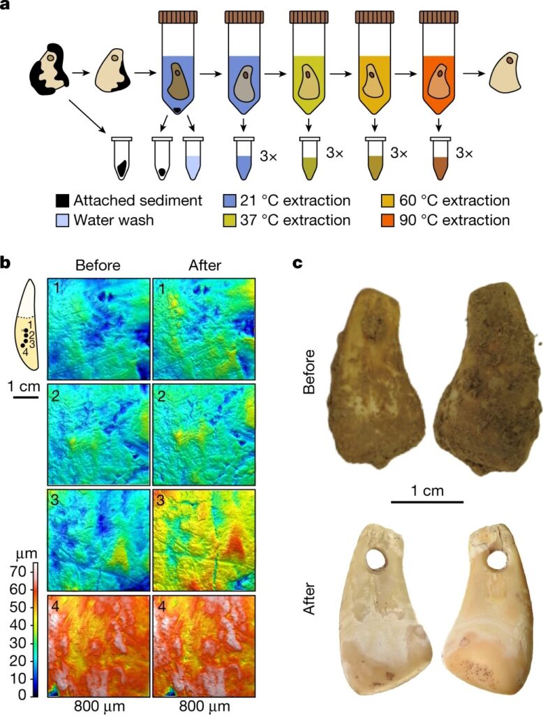 Ancient human DNA recovered from a Palaeolithic pendant