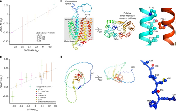 [Abs] GWAS and meta-analysis identifies 49 genetic variants underlying critical COVID-19