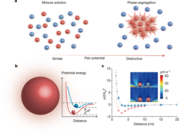 [Abs] Photochromism from wavelength-selective colloidal phase segregation