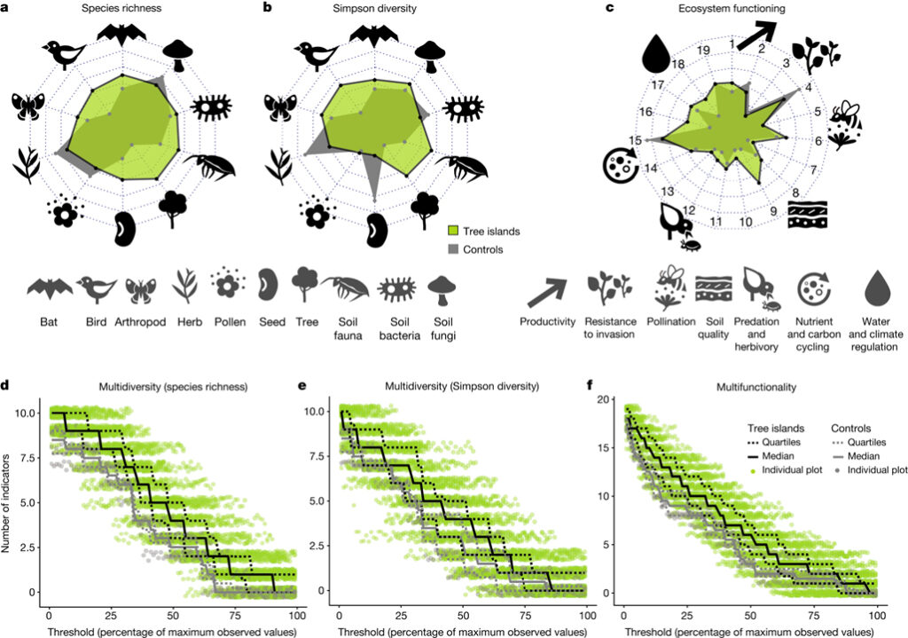 Tree islands enhance biodiversity and functioning in oil palm landscapes