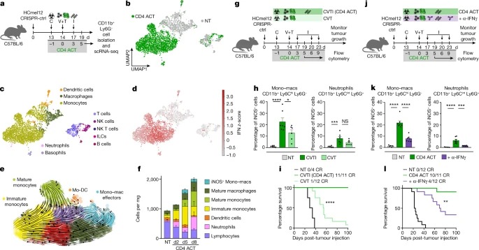 CD4+ T cell-induced inflammatory cell death controls immune-evasive tumours