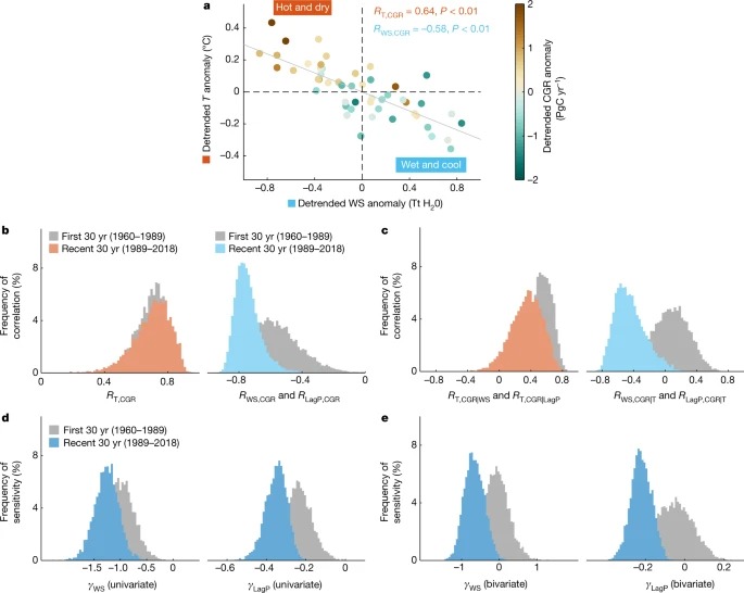 Increasingly negative tropical water–interannual CO2 growth rate coupling