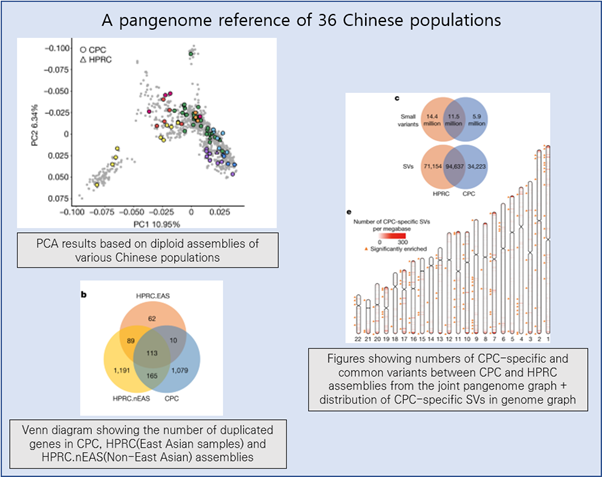 [EzV] A pangenome reference of 36 Chinese populations