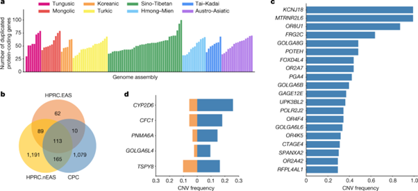 [Fig2] A pangenome reference of 36 Chinese populations