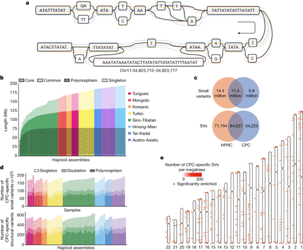 [Fig3] A pangenome reference of 36 Chinese populations