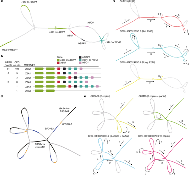 [Fig4] A pangenome reference of 36 Chinese populations