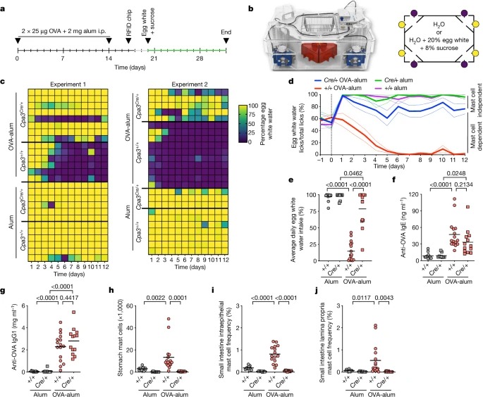 Mast cells link immune sensing to antigen-avoidance behaviour