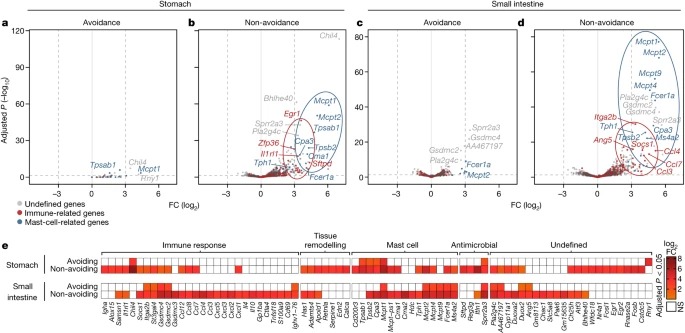 Mast cells link immune sensing to antigen-avoidance behaviour