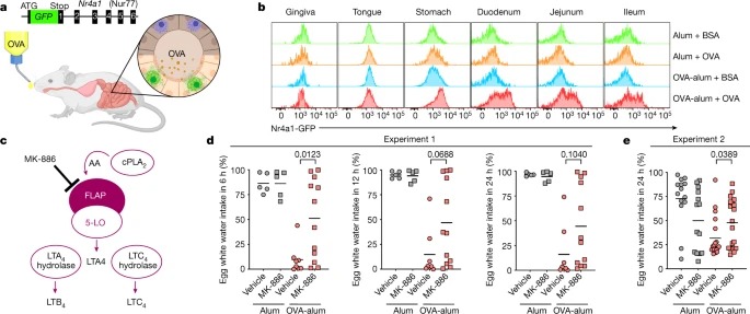 Mast cells link immune sensing to antigen-avoidance behaviour