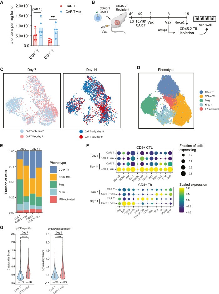 Vaccine-boosted CAR T crosstalk with host immunity to reject tumors with antigen heterogeneity