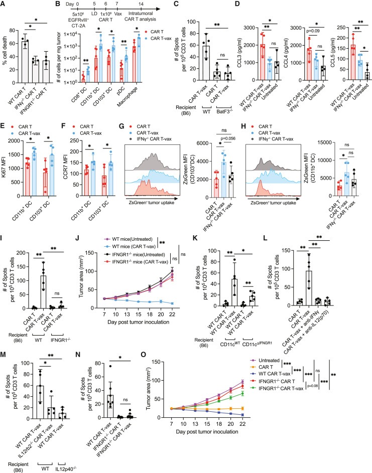 Vaccine-boosted CAR T crosstalk with host immunity to reject tumors with antigen heterogeneity