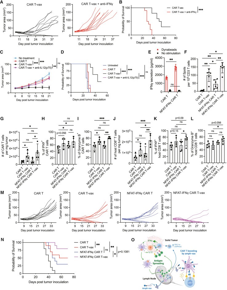 Vaccine-boosted CAR T crosstalk with host immunity to reject tumors with antigen heterogeneity