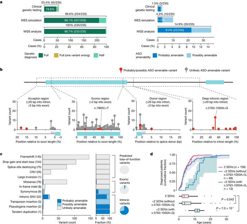 A framework for individualized splice-switching oligonucleotide therapy