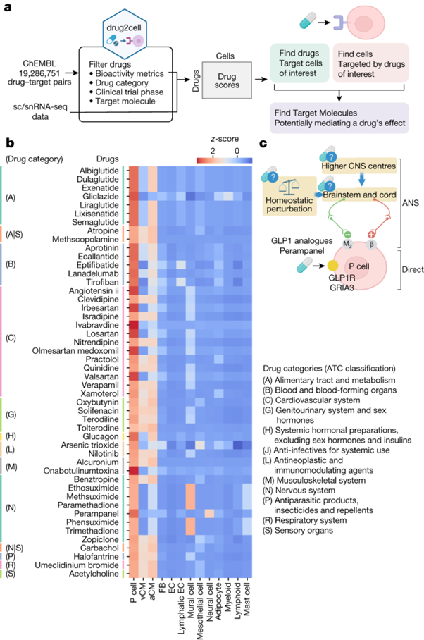 [Fig4] Spatially resolved multiomics of human cardiac niches