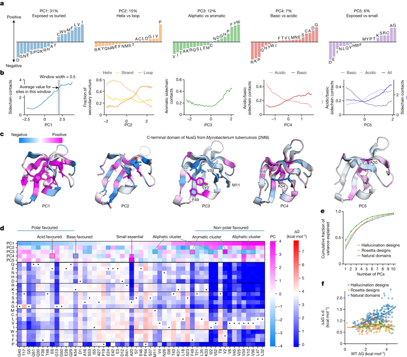 Mega-scale experimental analysis of protein folding stability in biology and design