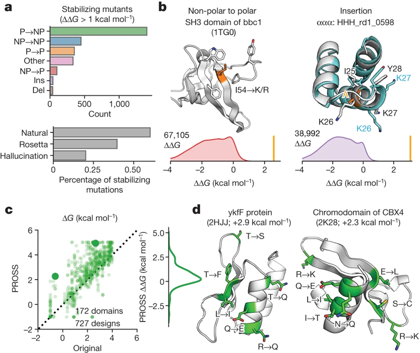 Mega-scale experimental analysis of protein folding stability in biology and design