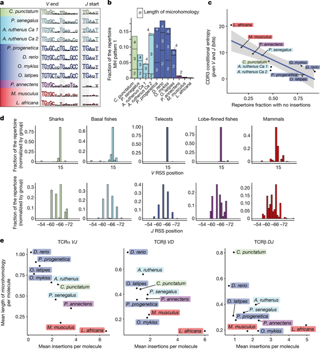 Origin and evolutionary malleability of T cell receptor α diversity