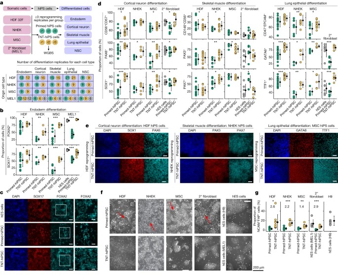 Transient naive reprogramming corrects hiPS cells functionally and epigenetically