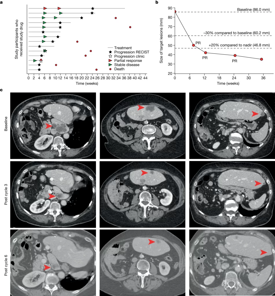 Response of EC patients after NP137 treatment