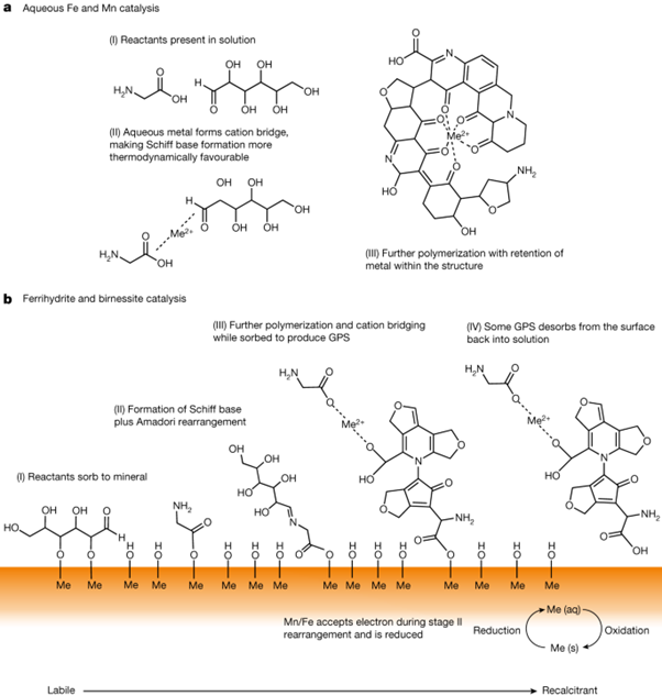 [Abs] Long-term organic carbon preservation enhanced by iron and manganese