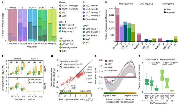 [Fig 2] Dissecting human population variation in single-cell responses to SARS-CoV-2