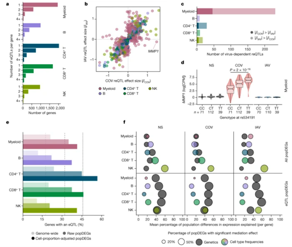 [Fig 3] Dissecting human population variation in single-cell responses to SARS-CoV-2