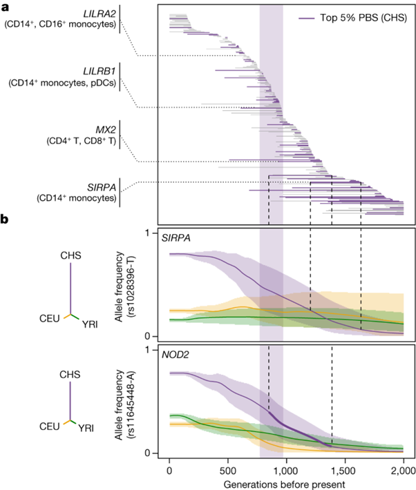 [Fig 4] Dissecting human population variation in single-cell responses to SARS-CoV-2