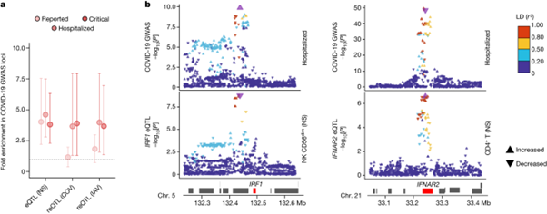 [Fig 5] Dissecting human population variation in single-cell responses to SARS-CoV-2