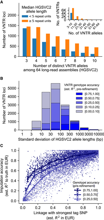 Repeat polymorphisms underlie top genetic risk loci for glaucoma and colorectal cancer