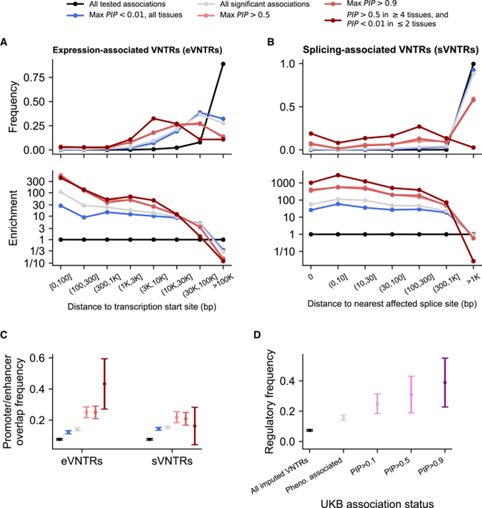 Repeat polymorphisms underlie top genetic risk loci for glaucoma and colorectal cancer